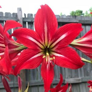 Meet your Posher, Jena